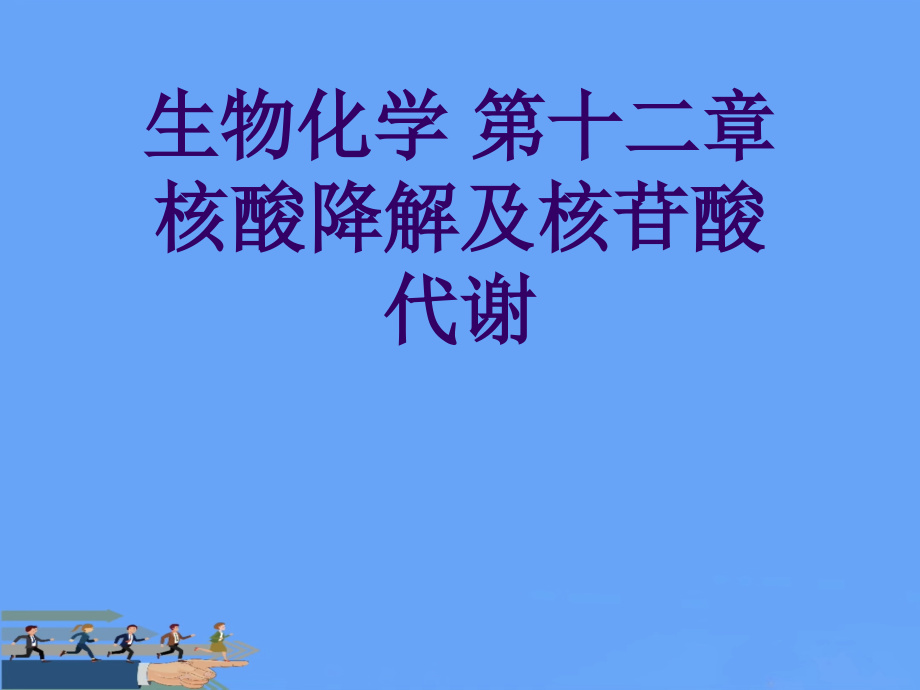 生物化学-第十二章-核酸降解及核苷酸代谢.ppt_第1页