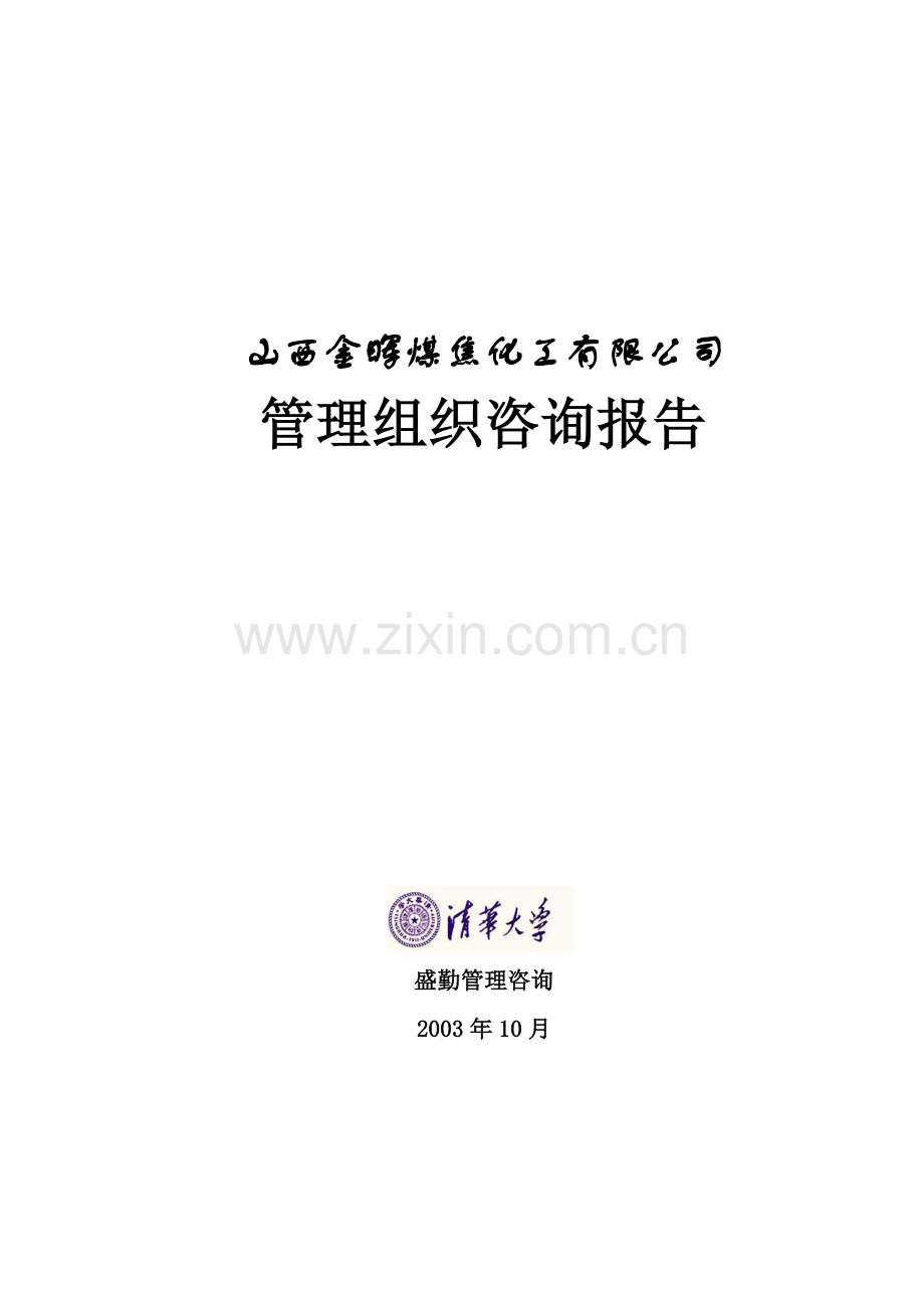 山西金晖煤焦化工—管理组织咨询报告.docx_第1页