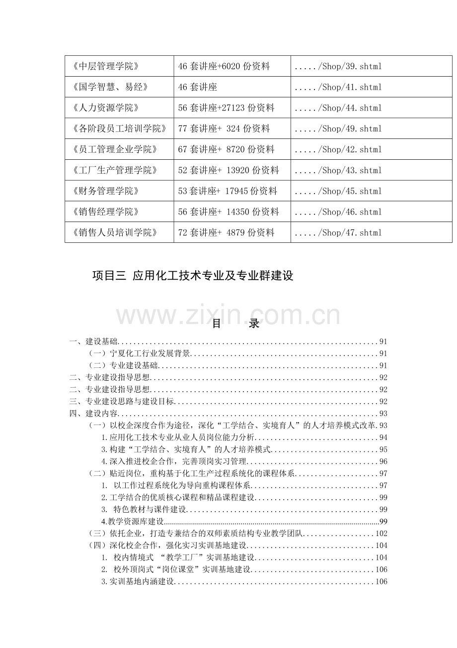 应用化工技术专业及其专业群的建设指导.docx_第2页