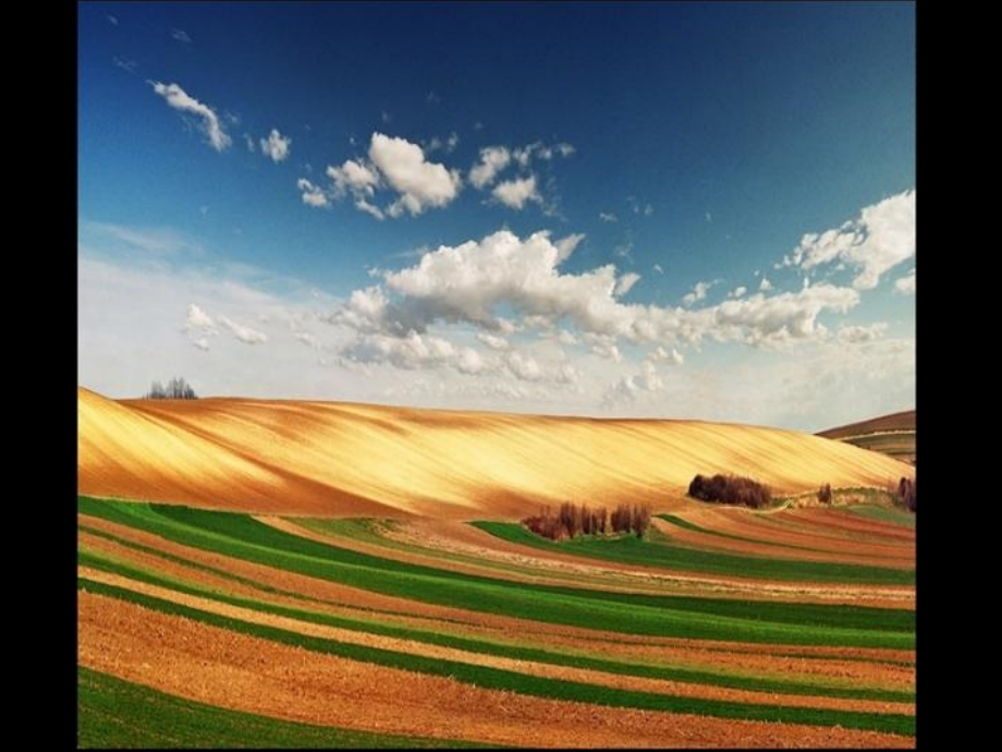 第五课如何创造动人的画面--构图的窍门.ppt_第2页