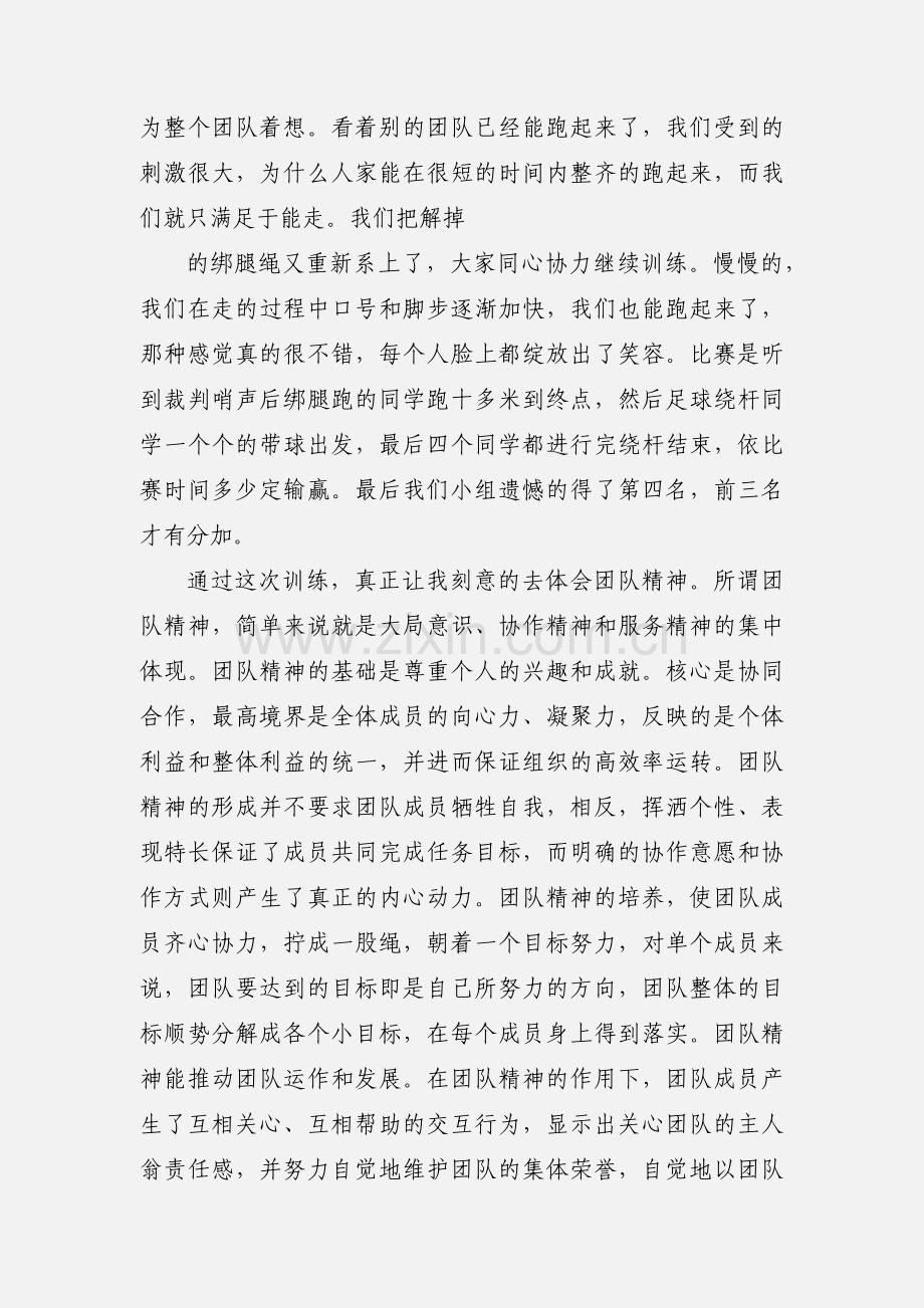团队素质拓展心得.docx_第2页
