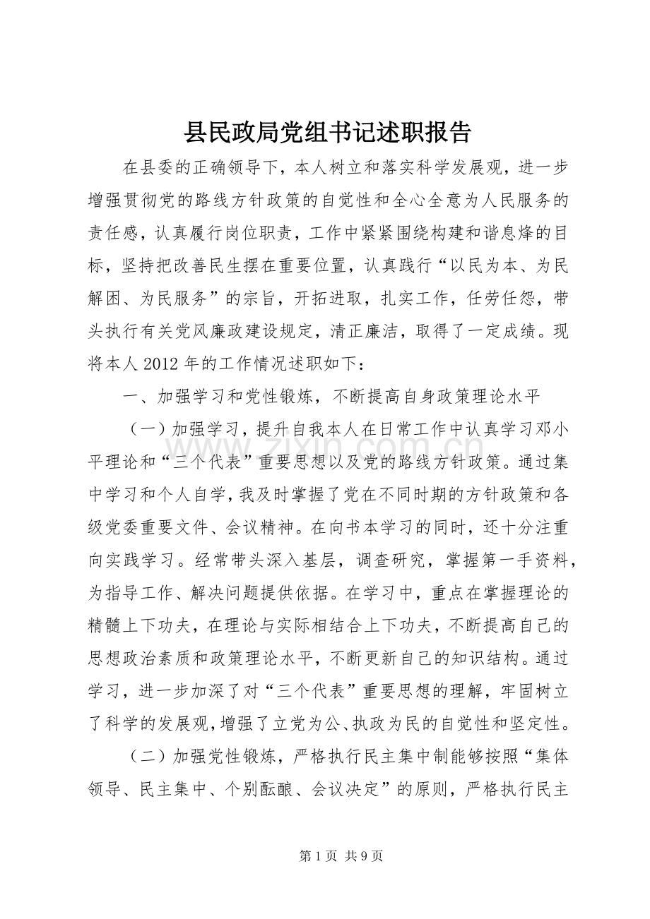 县民政局党组书记述职报告.docx_第1页