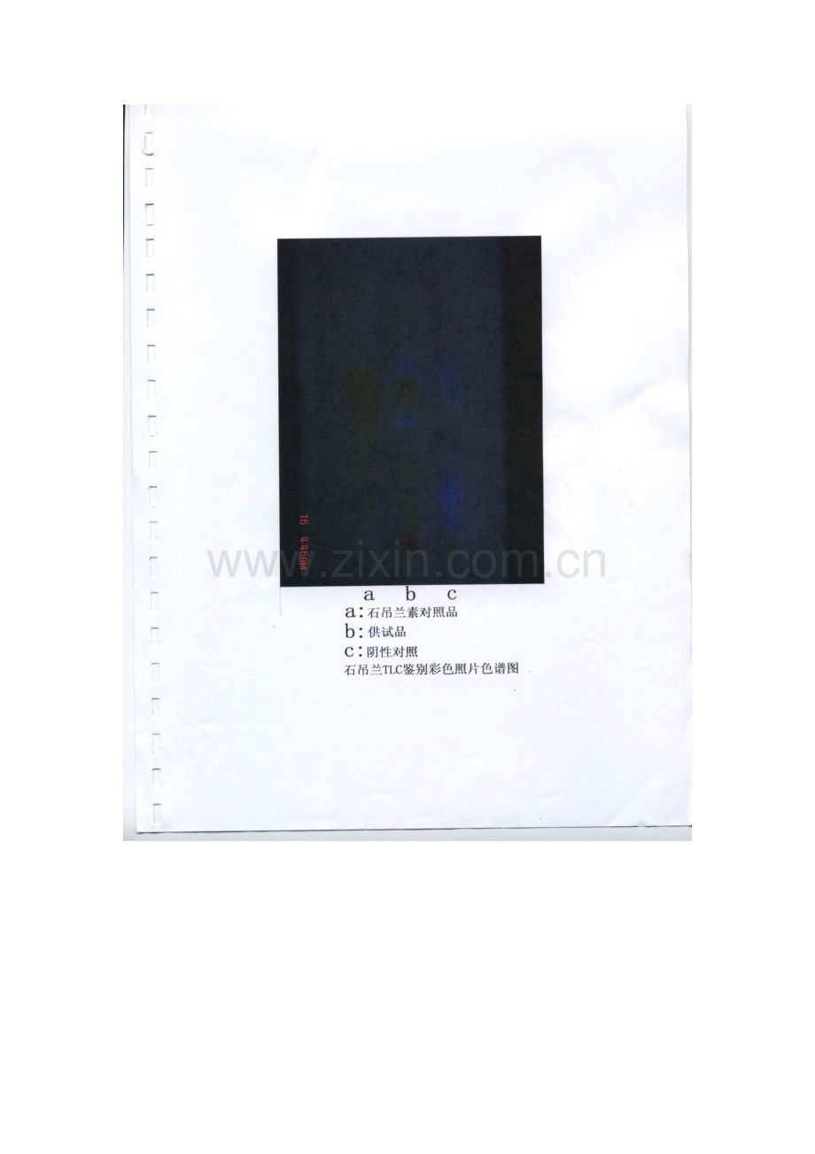岩果汁咳液质量标准提高资料电子版.docx_第2页