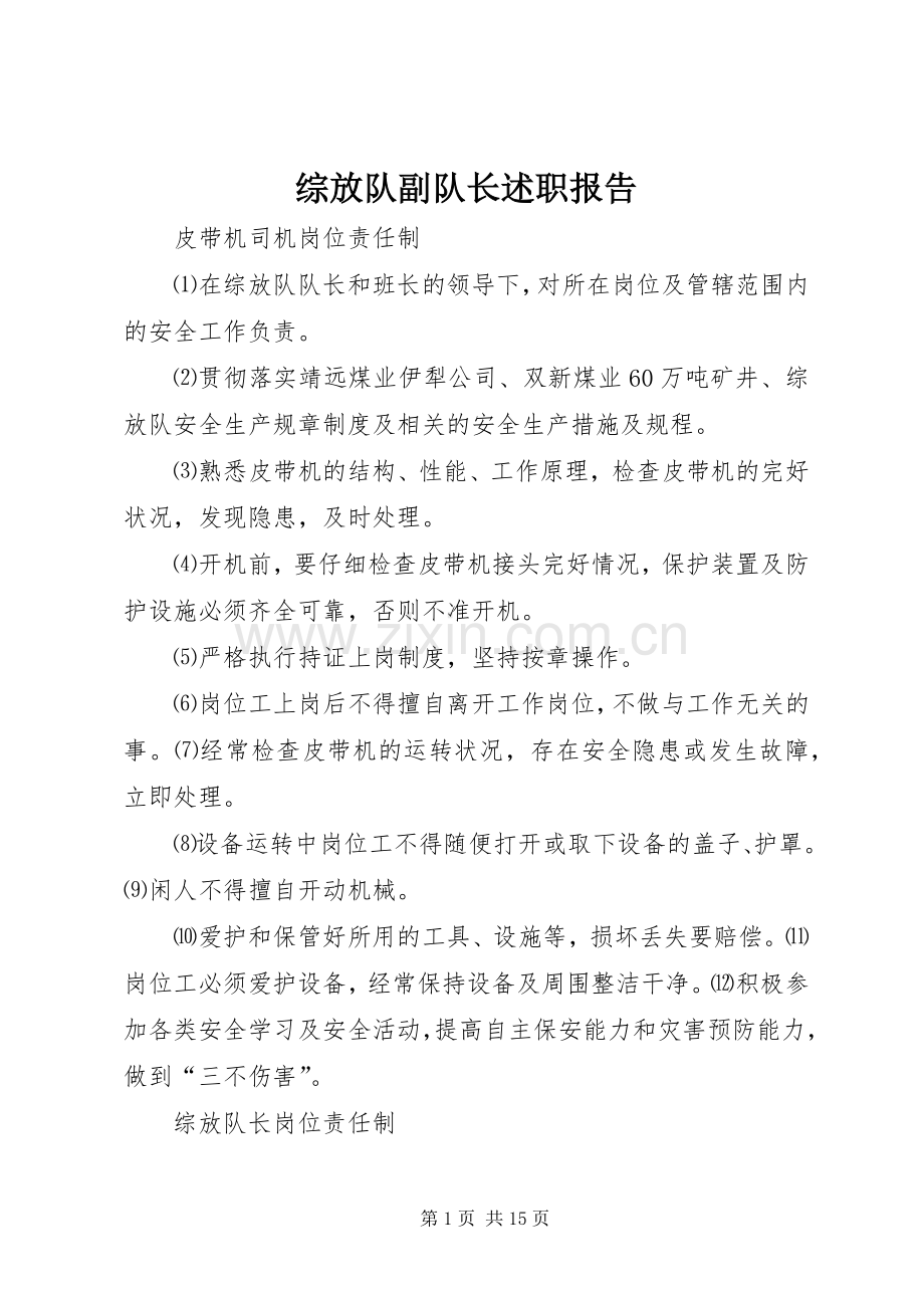 综放队副队长述职报告.docx_第1页