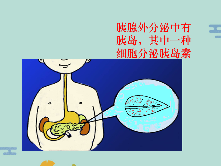 糖尿病健康教育5.pptx_第2页