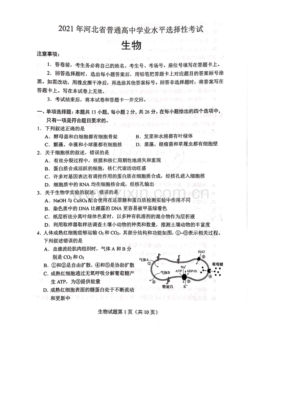 2021年新高考河北生物试题.docx_第1页