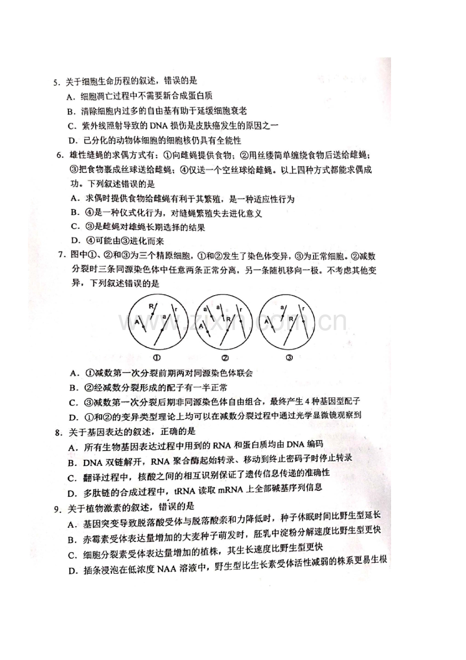 2021年新高考河北生物试题.docx_第2页