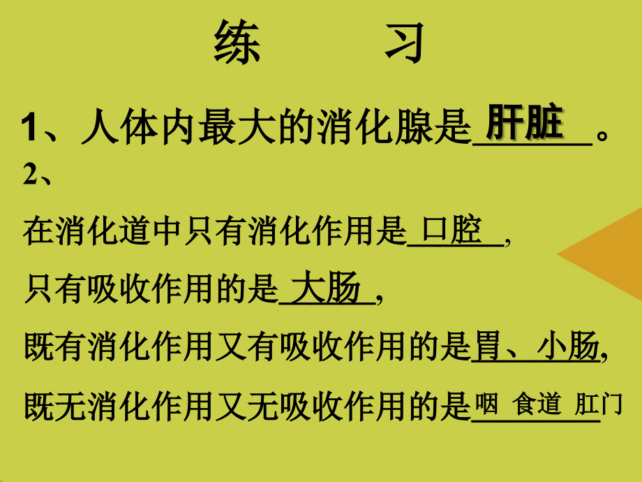 食物的消化与吸收第二课yang.ppt_第2页