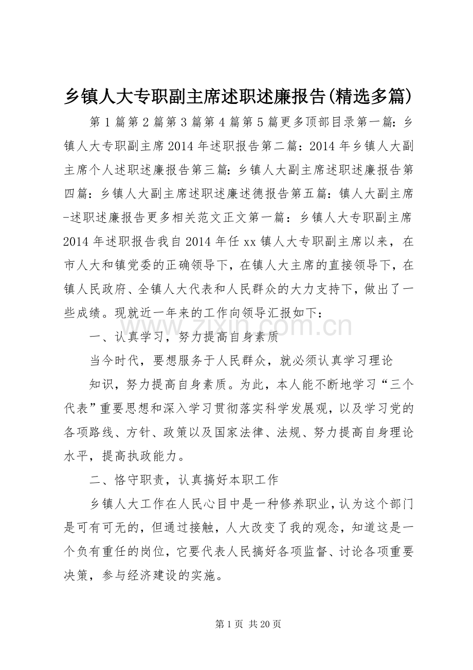 乡镇人大专职副主席述职述廉报告(多篇).docx_第1页