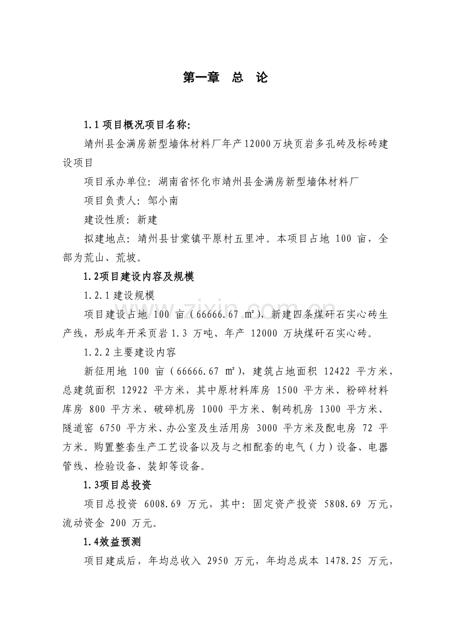 新型墙体材料厂年产煤矸石实心砖项目建议书.docx_第1页