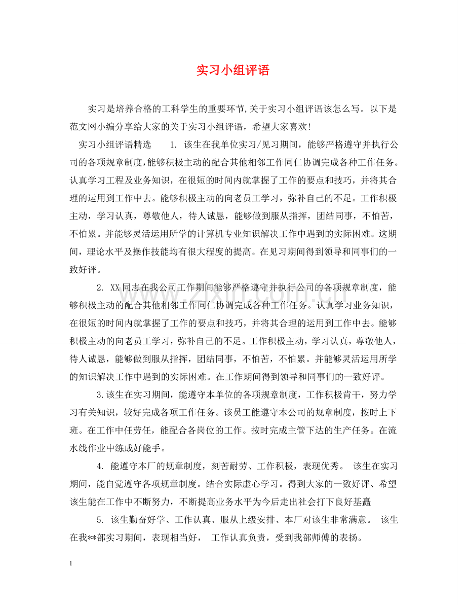 实习小组评语 .doc_第1页