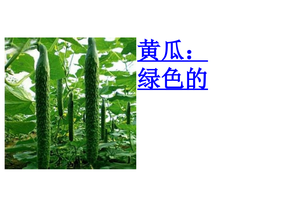 小班好吃的蔬菜.ppt_第2页