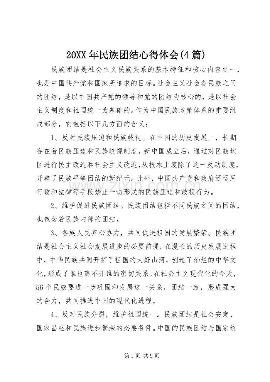 20XX年民族团结心得体会(4篇).docx_第1页