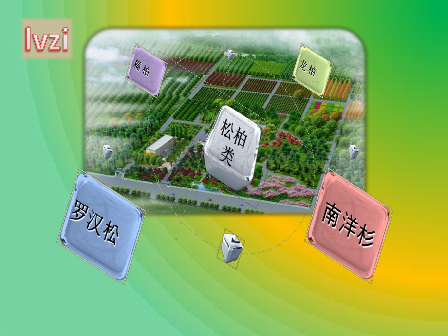 绿化,苗木,花木,广东花卉之绿资扁柏,龙柏,罗汉松,南洋杉.pdf_第2页