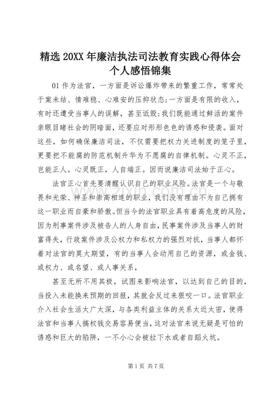 20XX年廉洁执法司法教育实践心得体会个人感悟锦集.docx_第1页