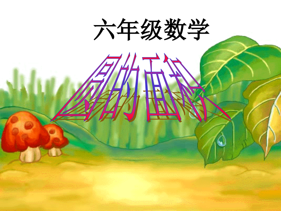 圆的面积-932817.ppt_第1页