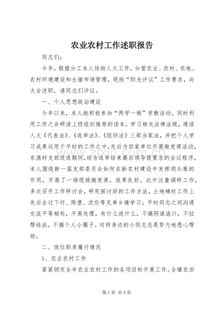 农业农村工作述职报告.docx_第1页