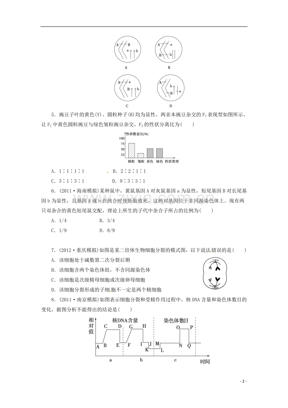 (通用版)2013届高三二轮复习-遗传的基本规律1测试题.doc_第2页
