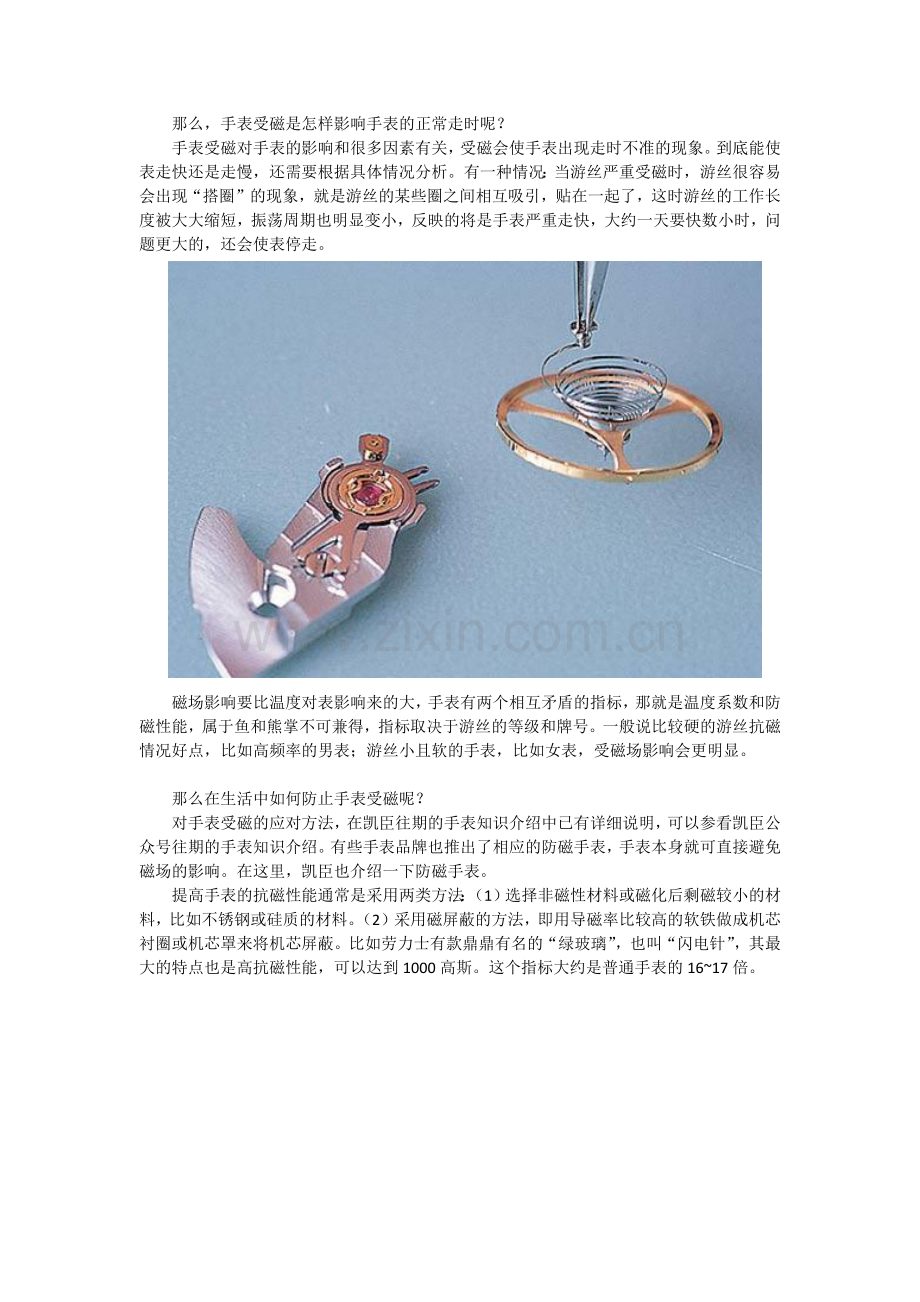 手表受磁.docx_第2页