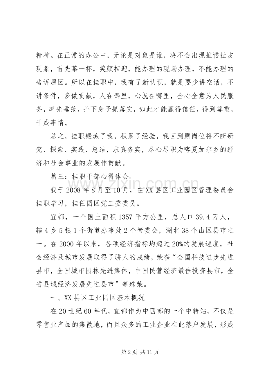 挂职干部心得体会篇三.docx_第2页