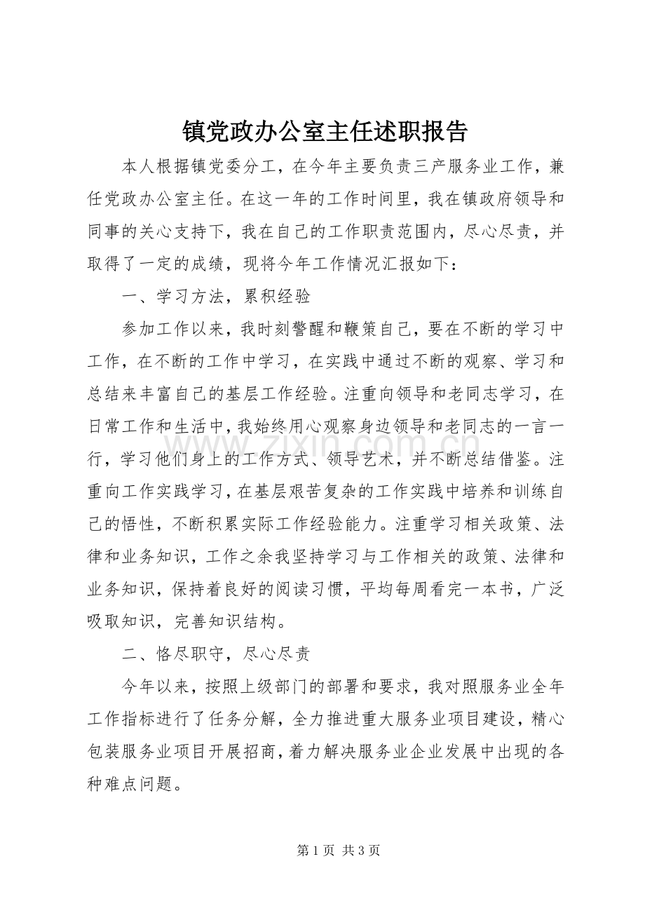 镇党政办公室主任述职报告.docx_第1页