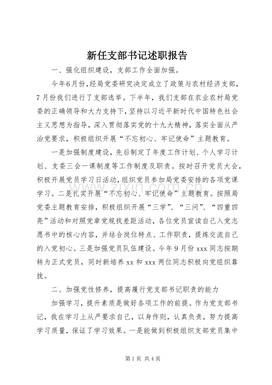 新任支部书记述职报告.docx_第1页
