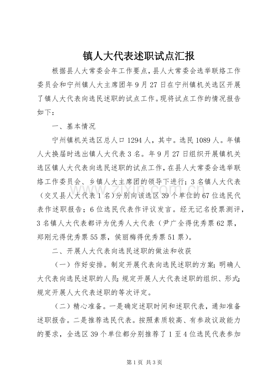 镇人大代表述职试点汇报.docx_第1页