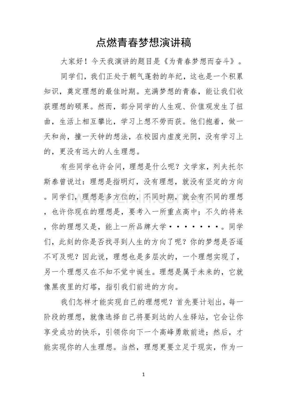 点燃青春梦想演讲稿.docx_第1页