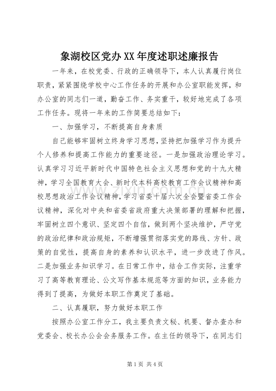 象湖校区党办XX年度述职述廉报告.docx_第1页