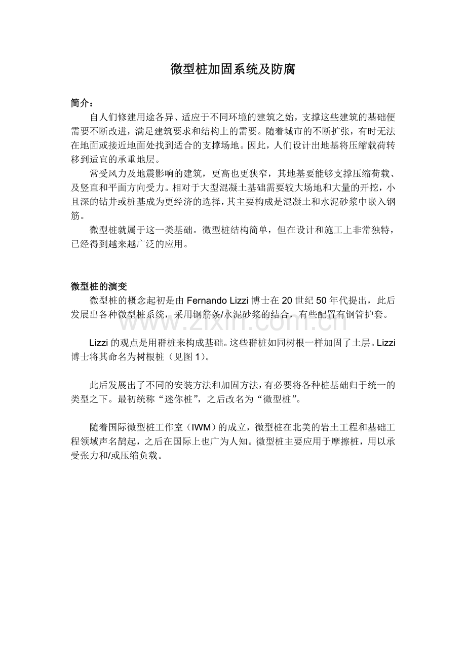 微型桩加固系统及防腐.doc_第1页