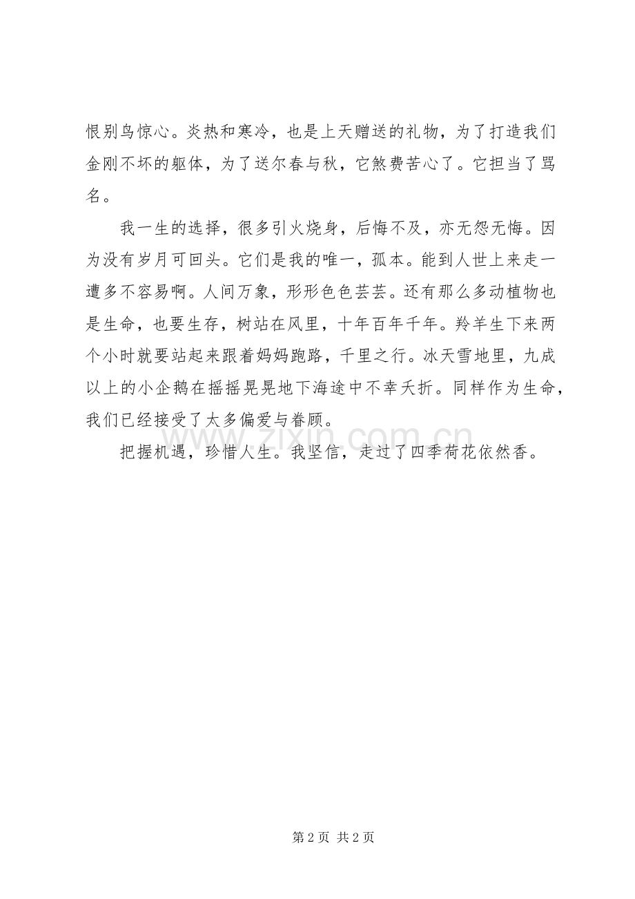 蔷薇岛屿读后感.docx_第2页