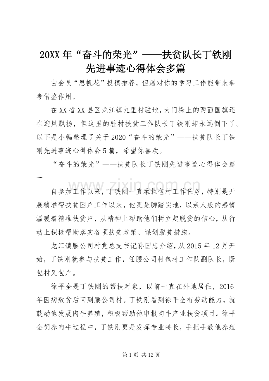 20XX年“奋斗的荣光”——扶贫队长丁铁刚先进事迹心得体会多篇.docx_第1页