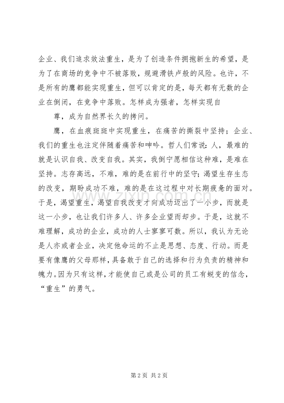 罗小宁鹰的蜕变与重生观后感.docx_第2页