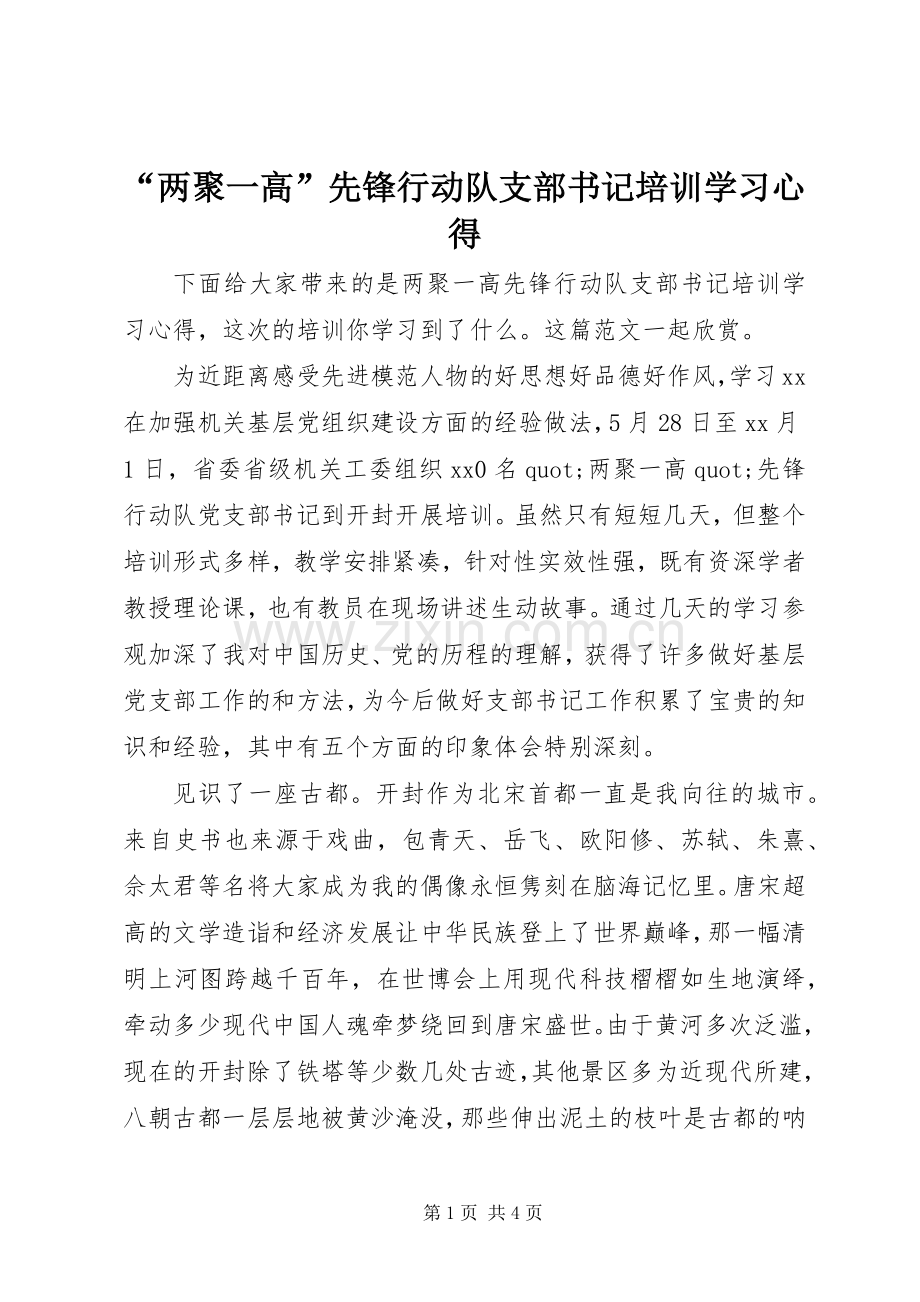 “两聚一高”先锋行动队支部书记培训学习心得.docx_第1页