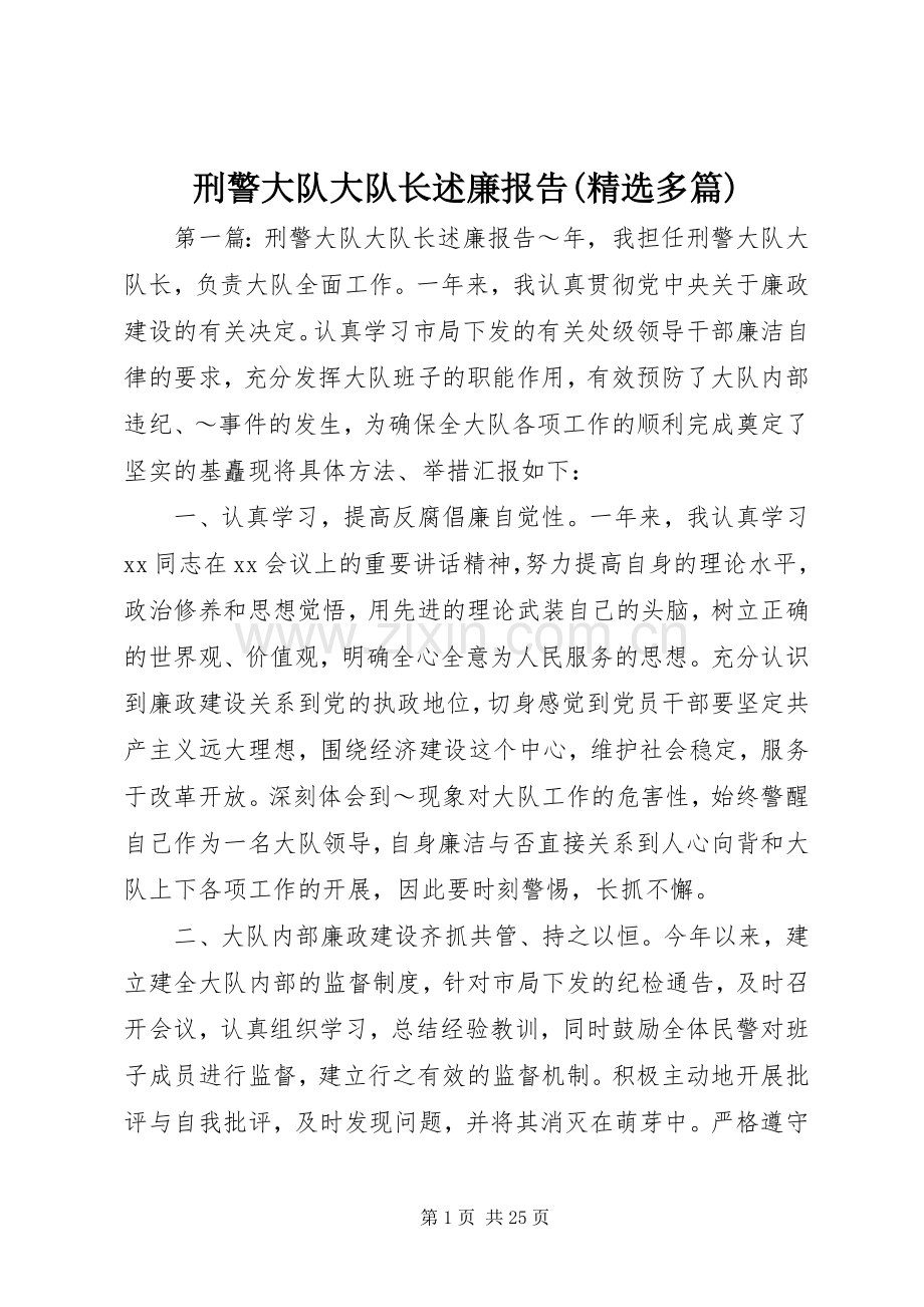 刑警大队大队长述廉报告(多篇).docx_第1页