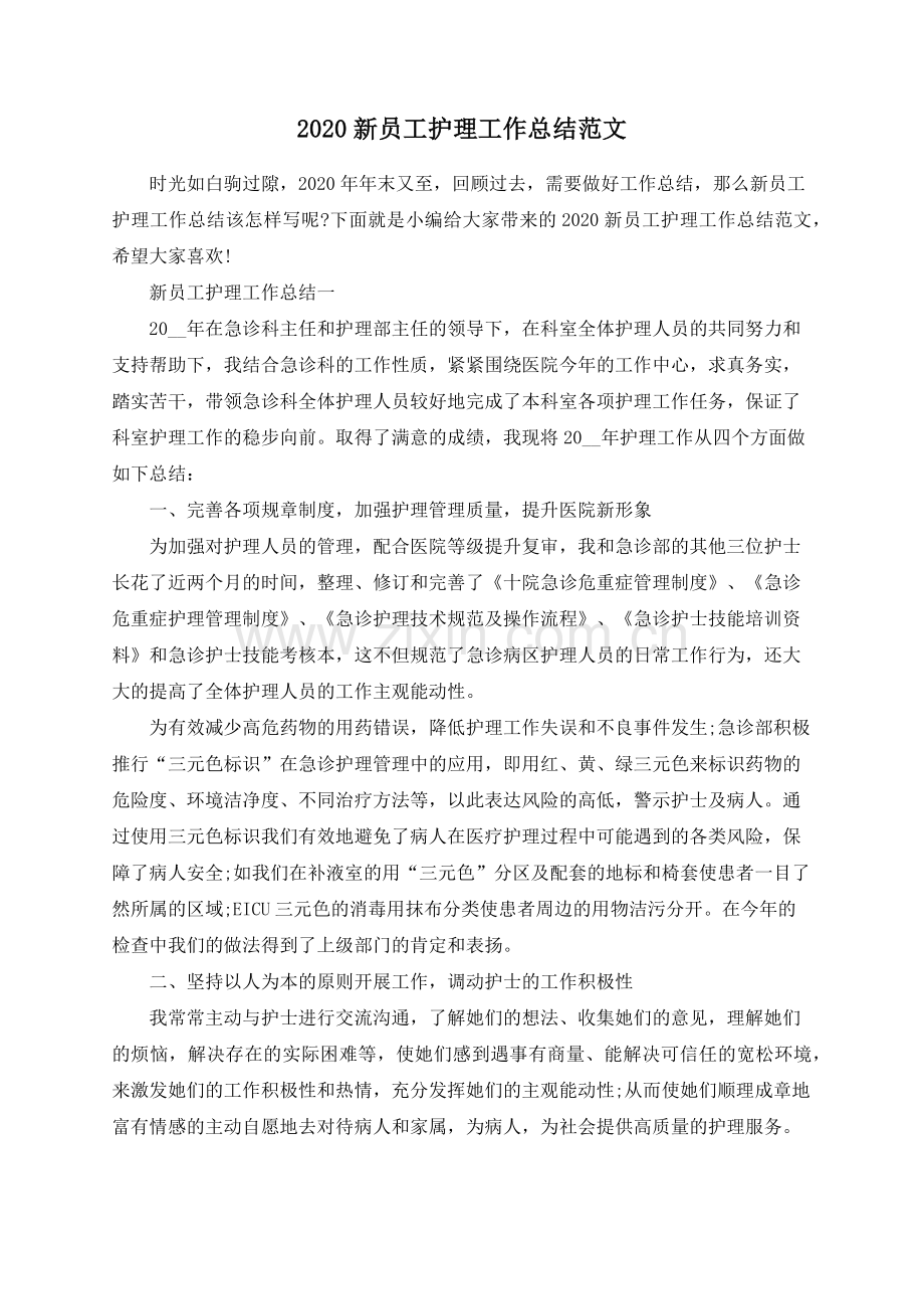2020新员工护理工作总结范文.docx_第1页