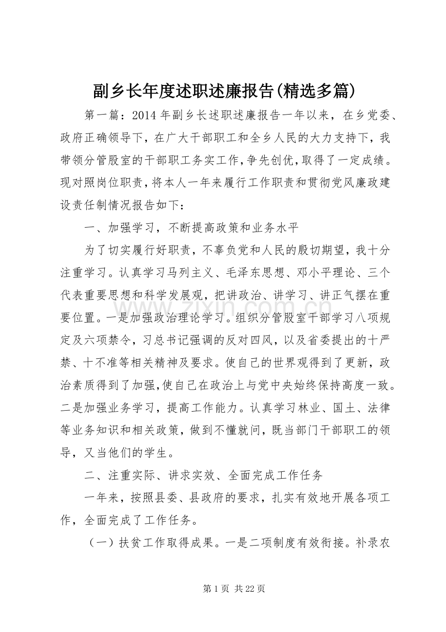 副乡长年度述职述廉报告(多篇).docx_第1页