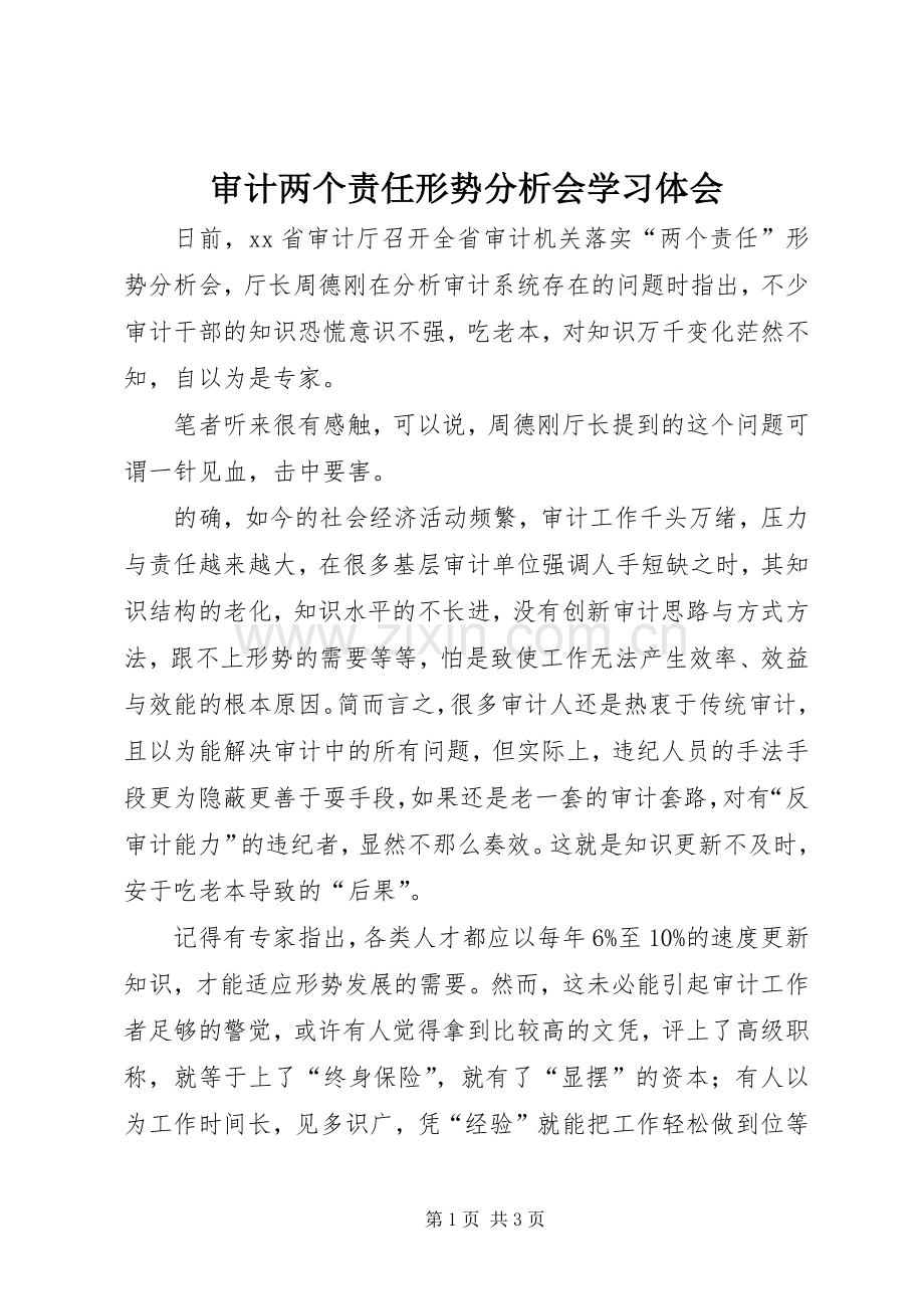审计两个责任形势分析会学习体会.docx_第1页