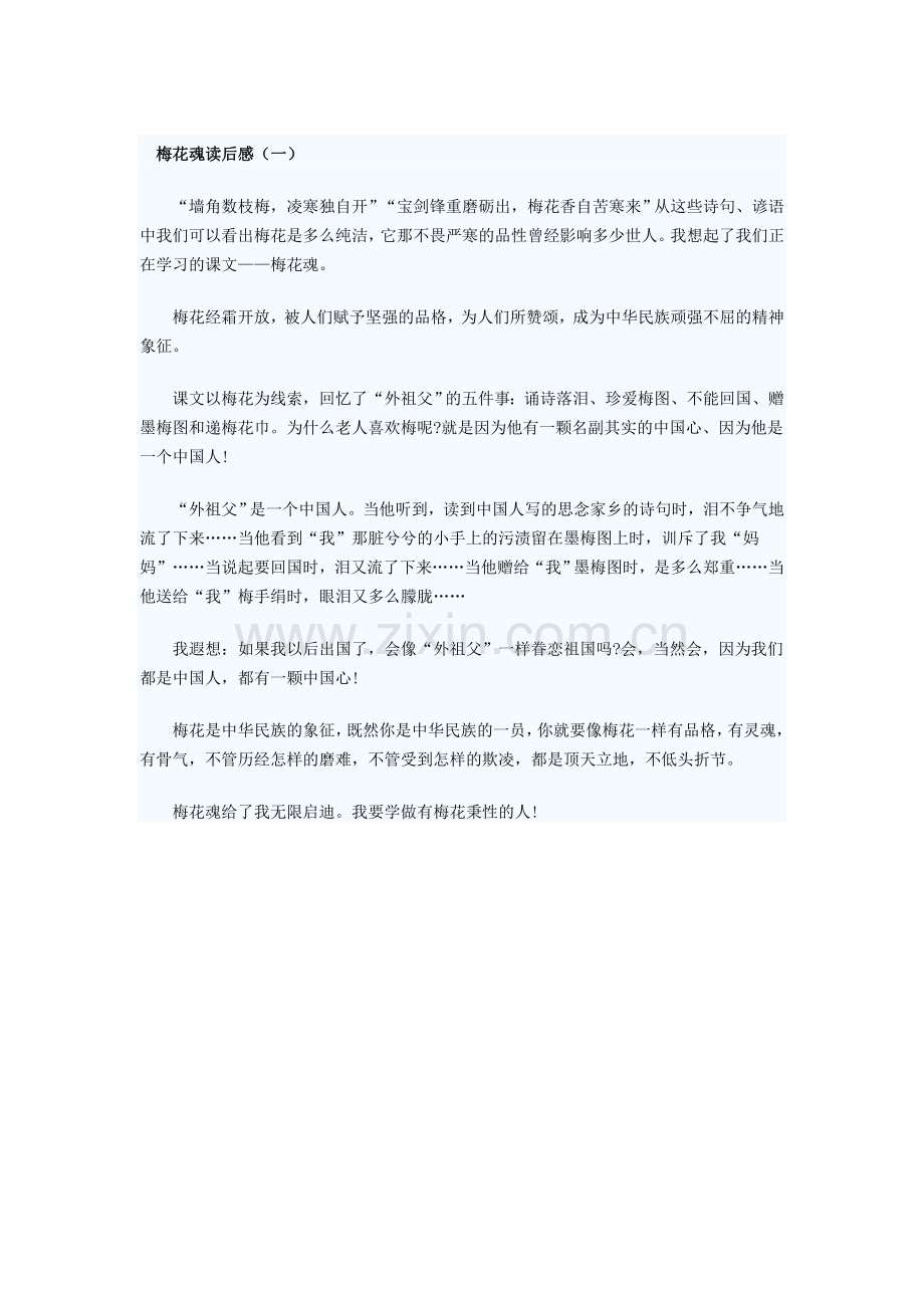 梅花魂读后感.doc_第1页