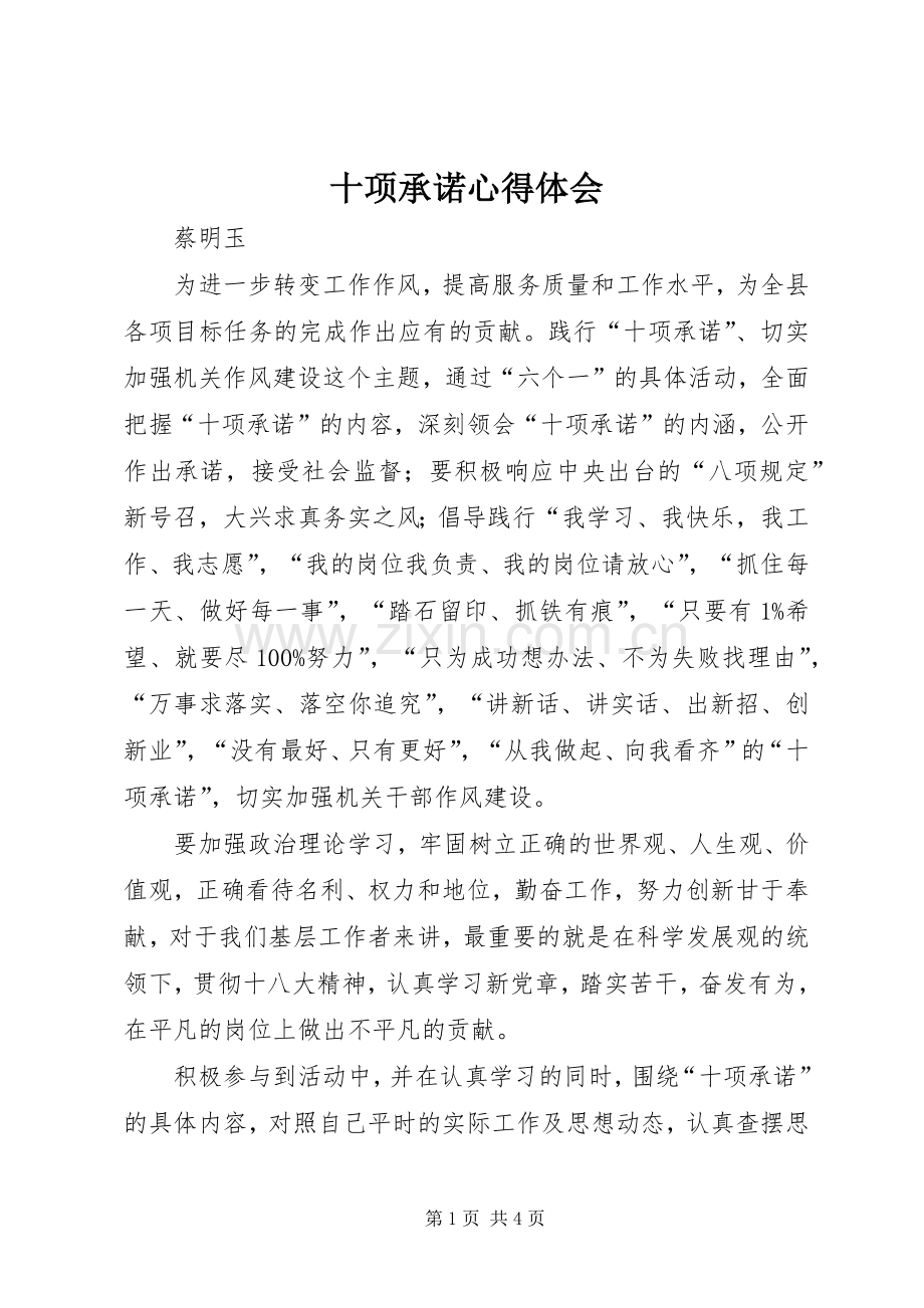 十项承诺心得体会.docx_第1页