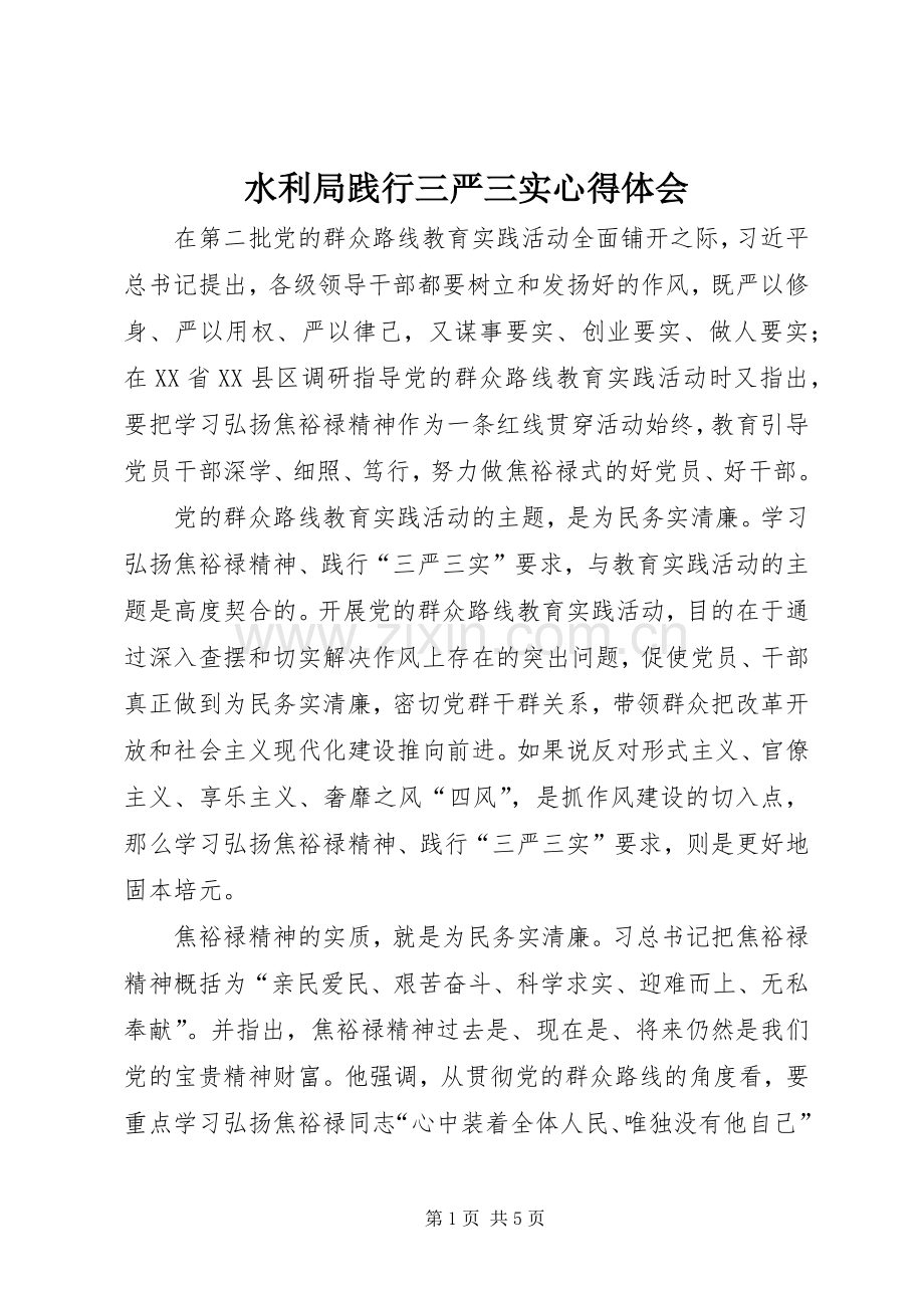 水利局践行三严三实心得体会.docx_第1页