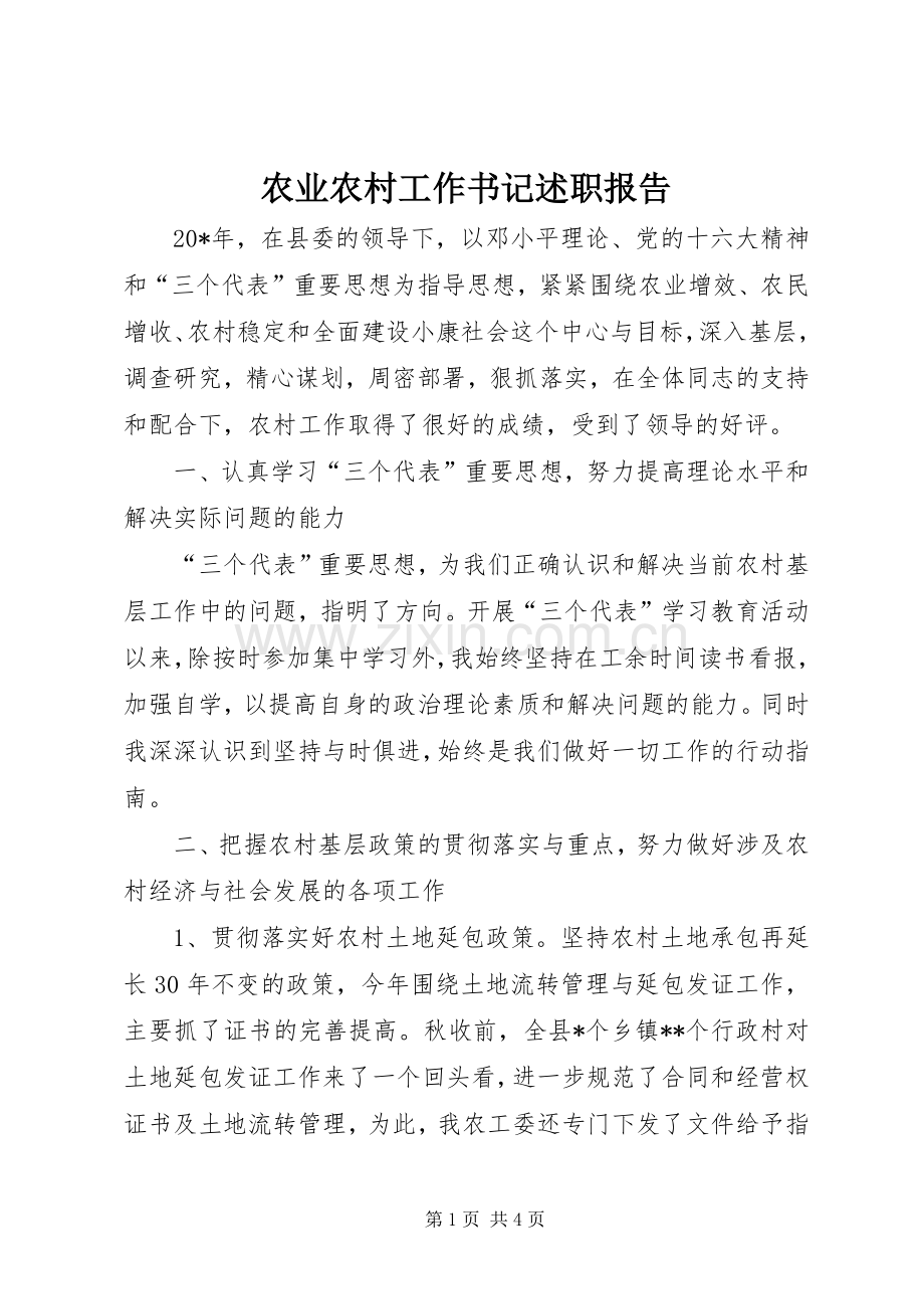 农业农村工作书记述职报告.docx_第1页