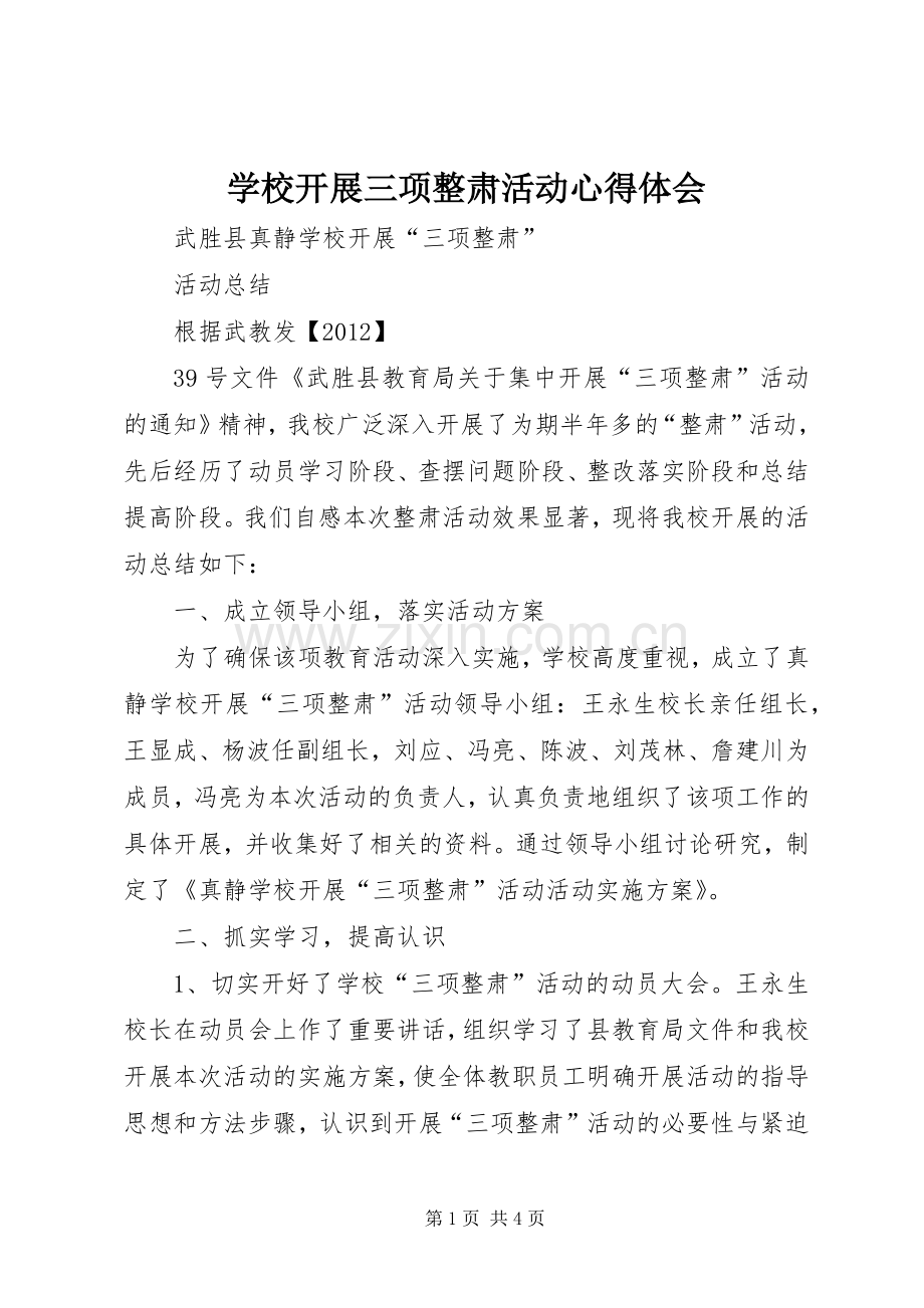 学校开展三项整肃活动心得体会.docx_第1页