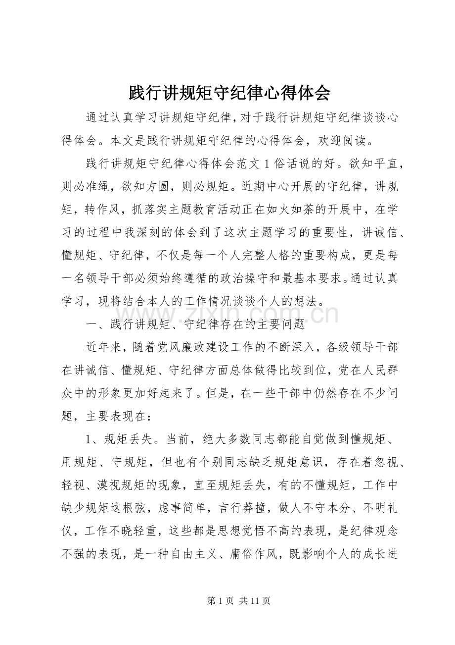 践行讲规矩守纪律心得体会.docx_第1页