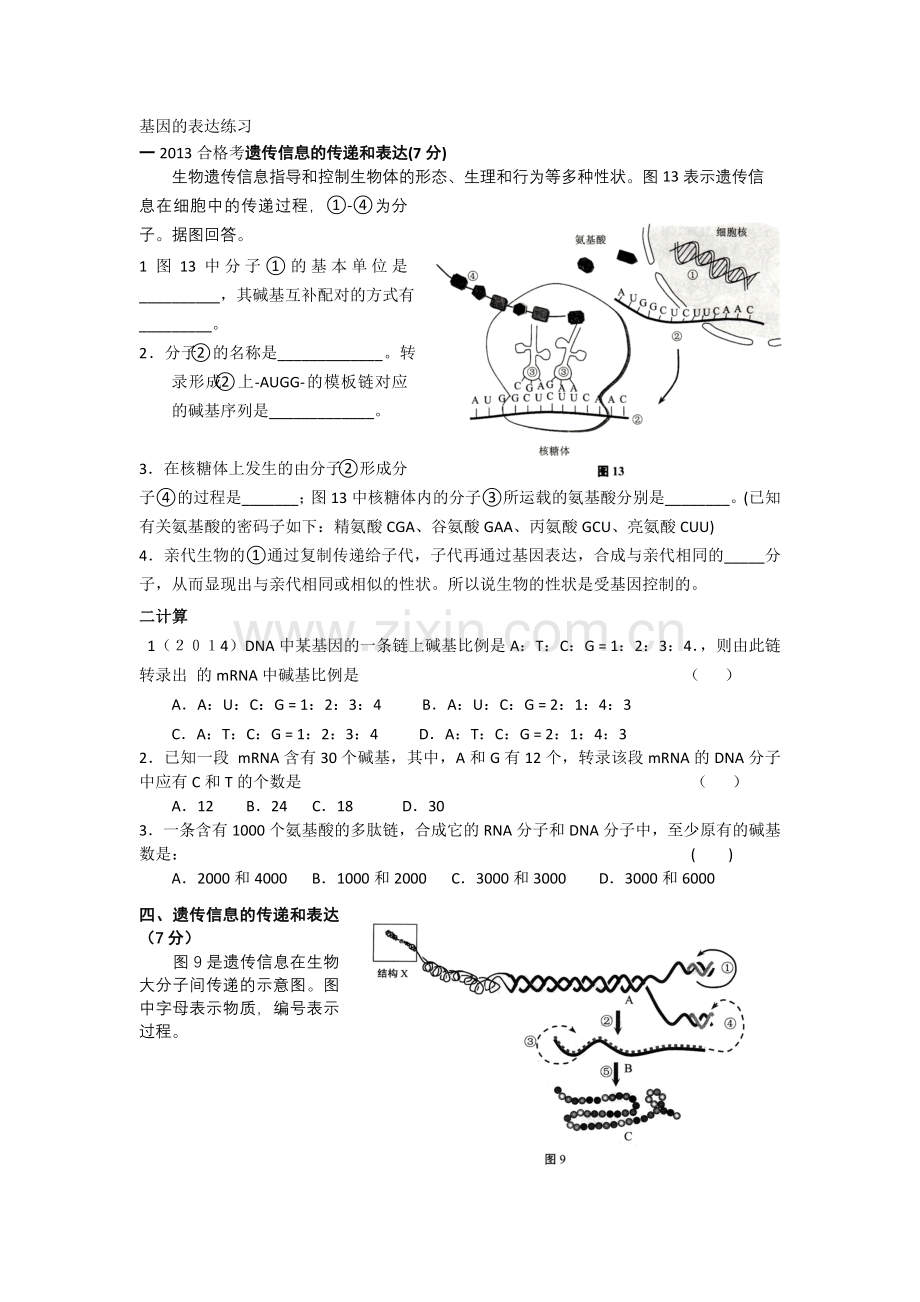 遗传信息的转录和翻译.docx_第1页