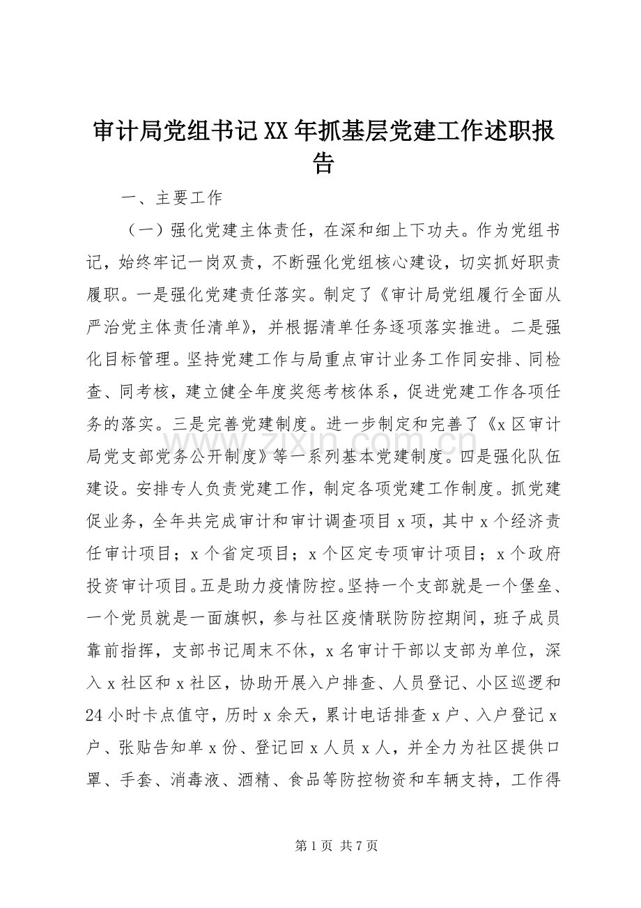 审计局党组书记XX年抓基层党建工作述职报告.docx_第1页