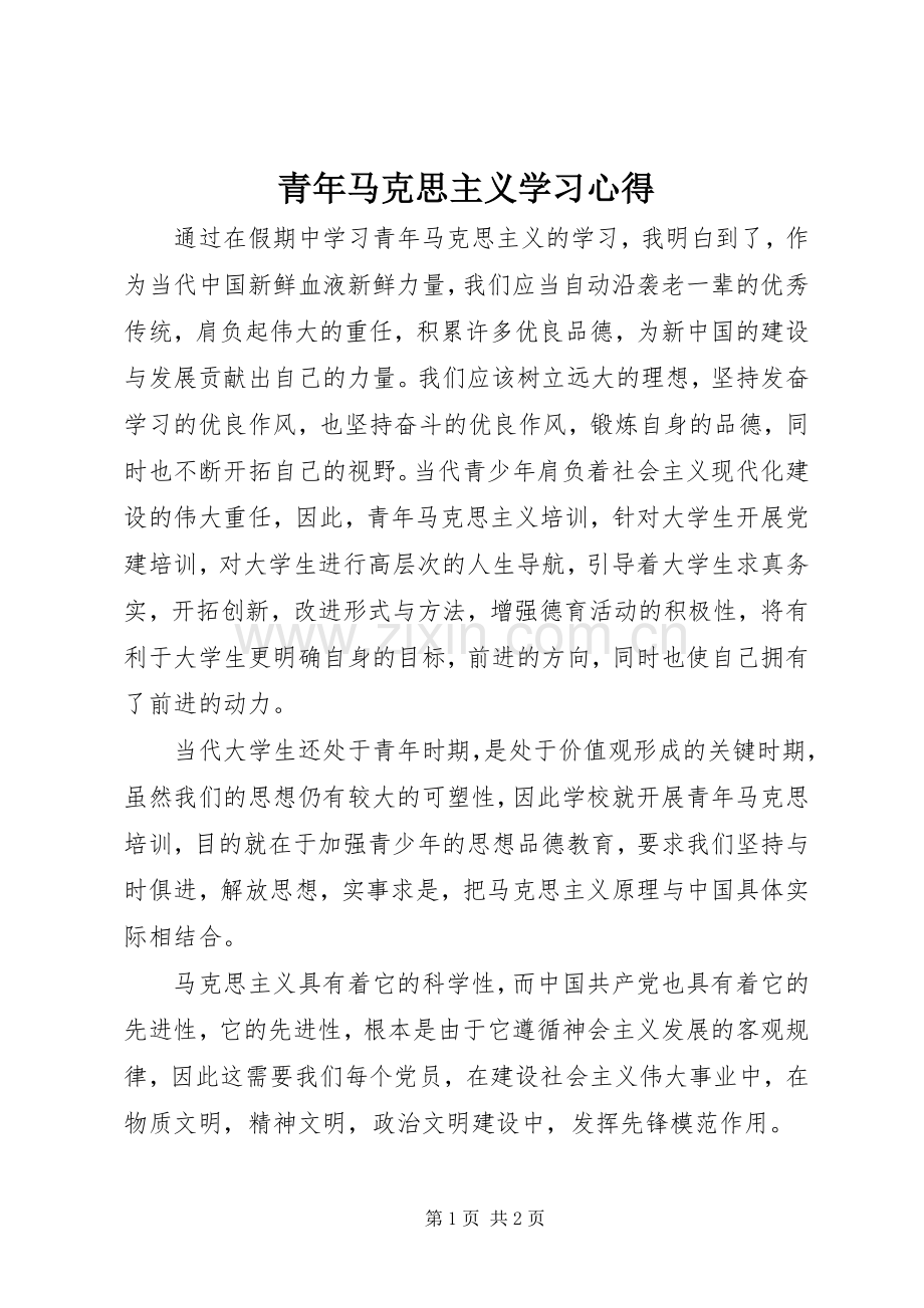 青年马克思主义学习心得.docx_第1页