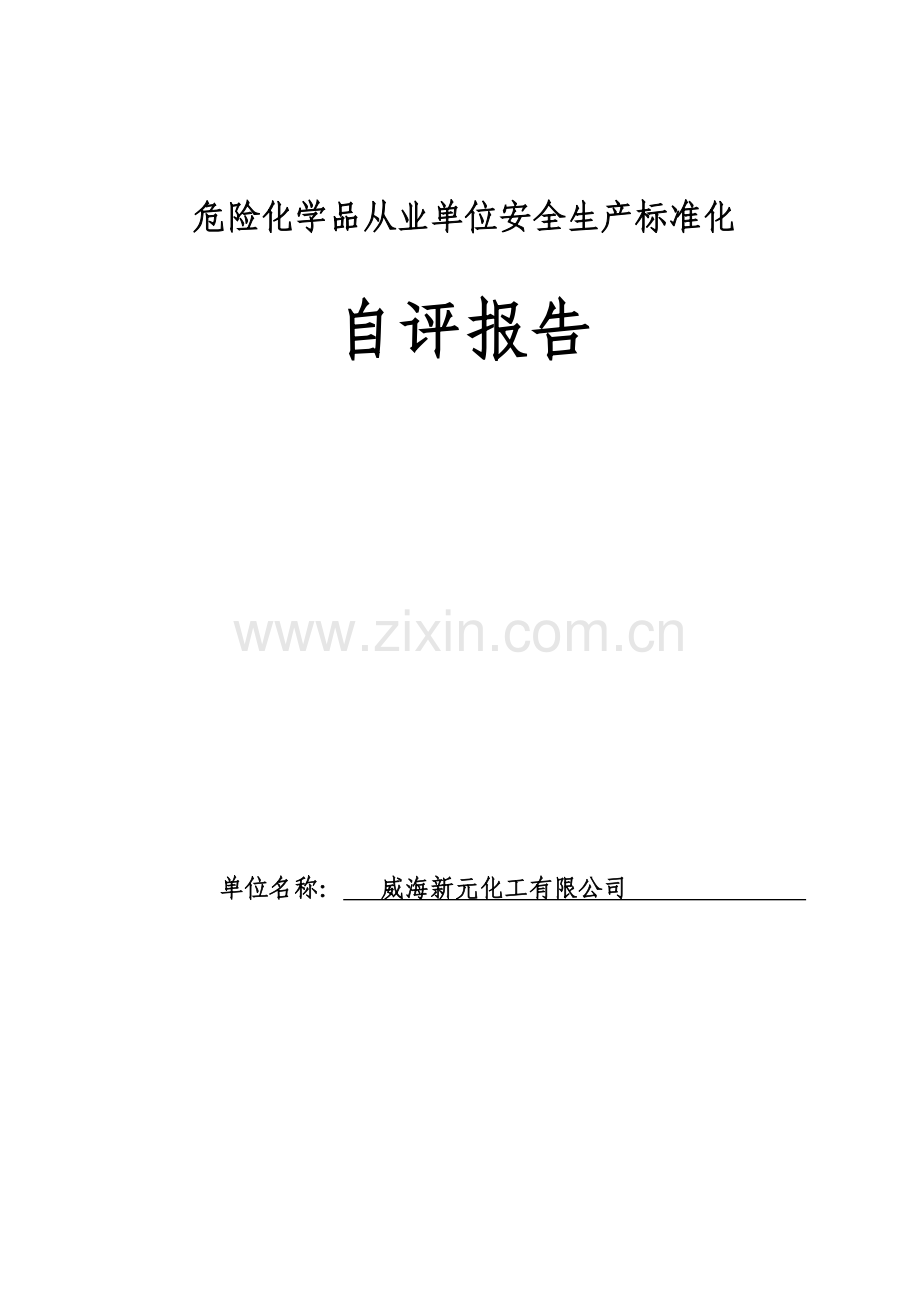 威海新元化工自评报告.docx_第1页