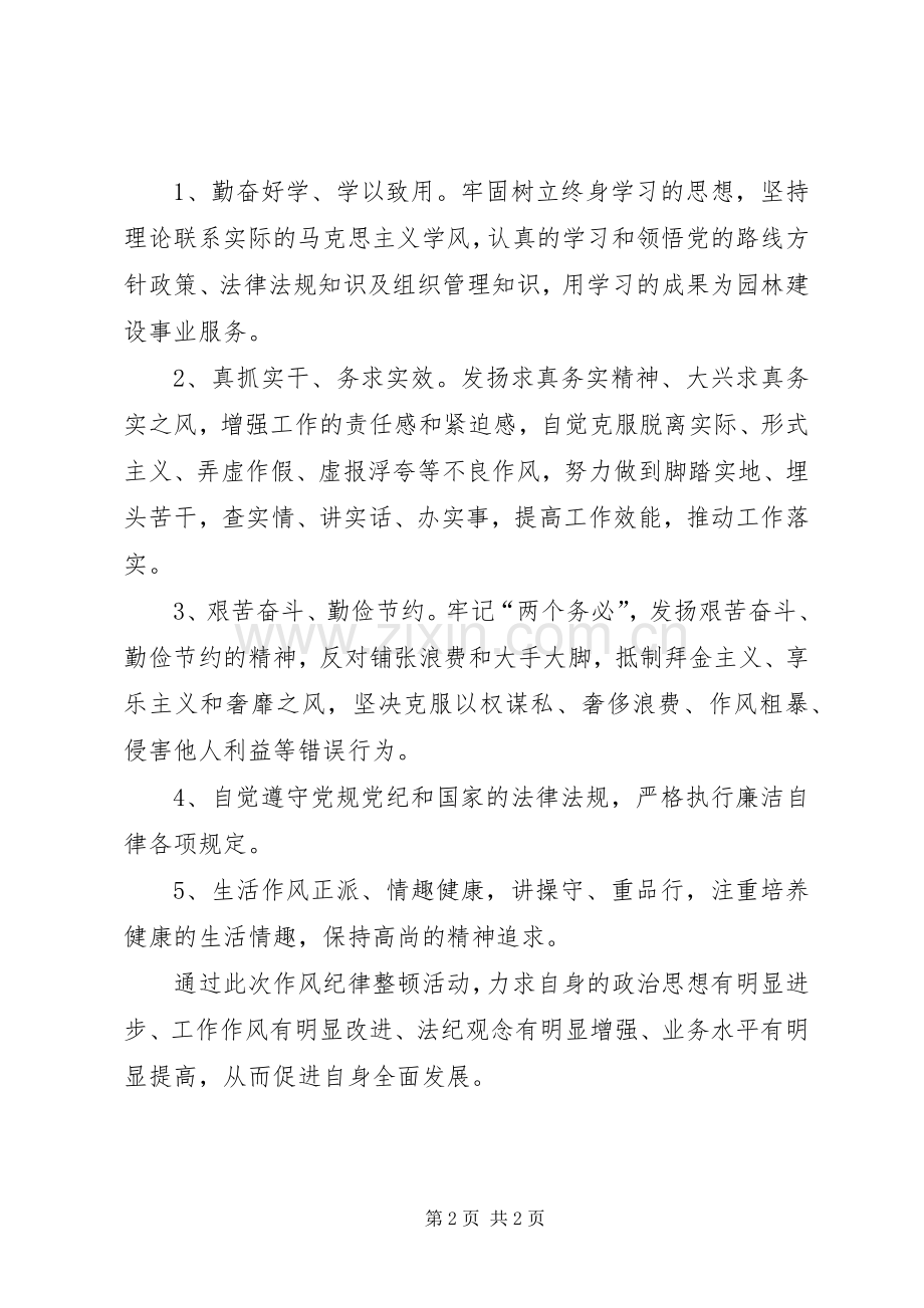 纪律作风集中整顿活动心得体会.docx_第2页