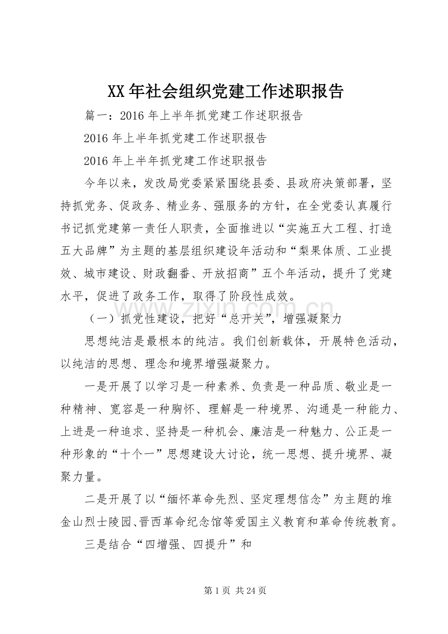 XX年社会组织党建工作述职报告.docx_第1页